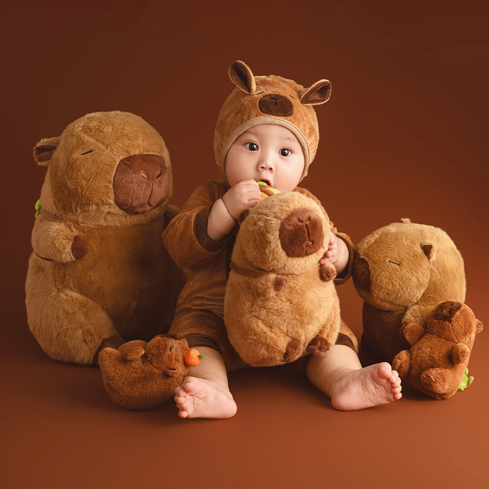 100 Days Baby Celebration Them - Photography Day 评论和价格