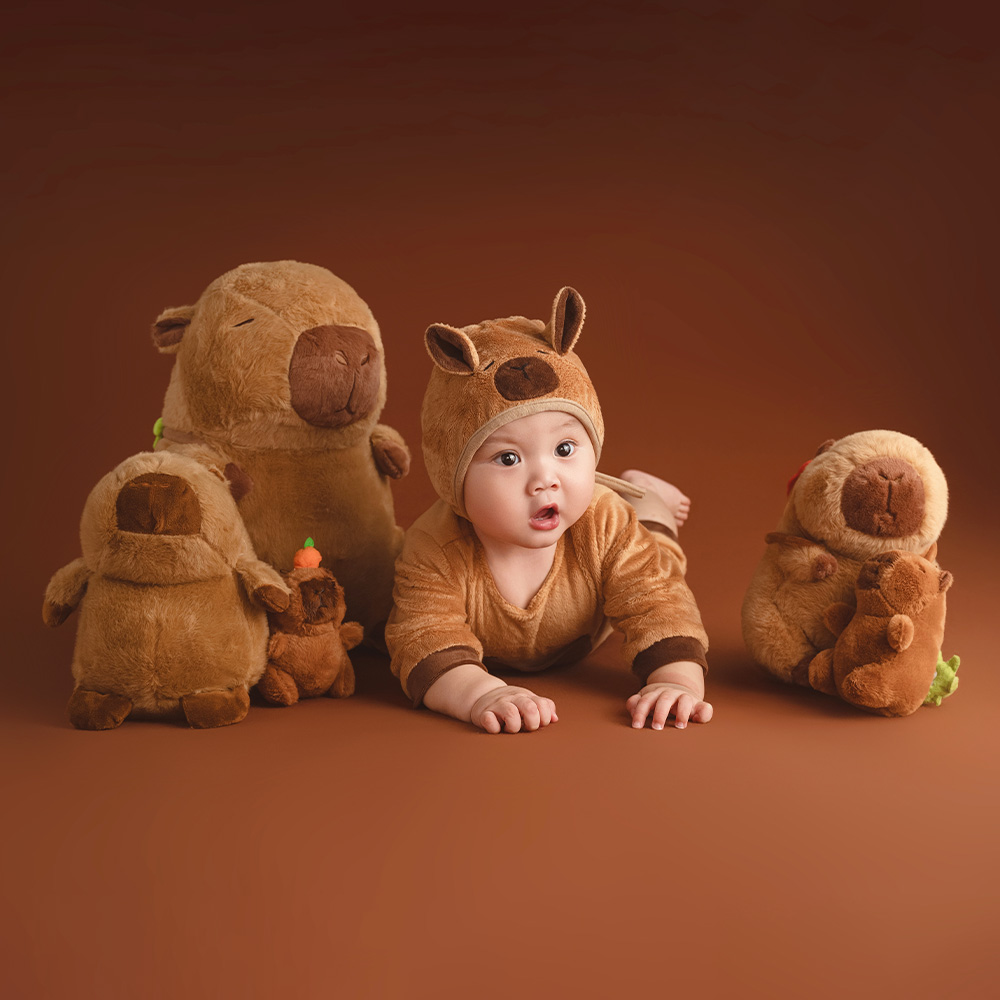 100 Days Baby Celebration Them - Photography Day 评论和价格