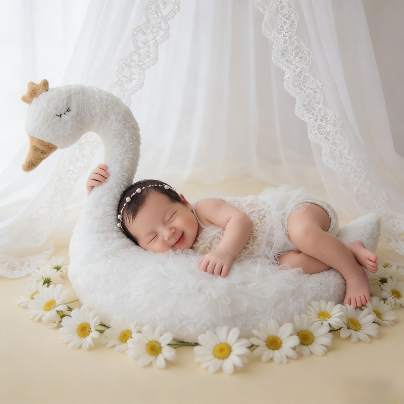 Newborn Photography Prop Swan  - Photography Day 评论和价格