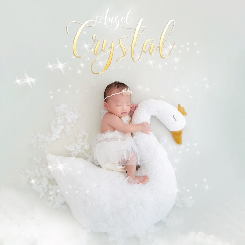 Newborn Photography Prop Swan  - Photography Day 评论和价格