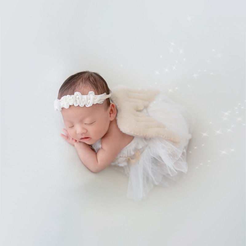 Newborn Photography Prop Swan  - Photography Day 评论和价格