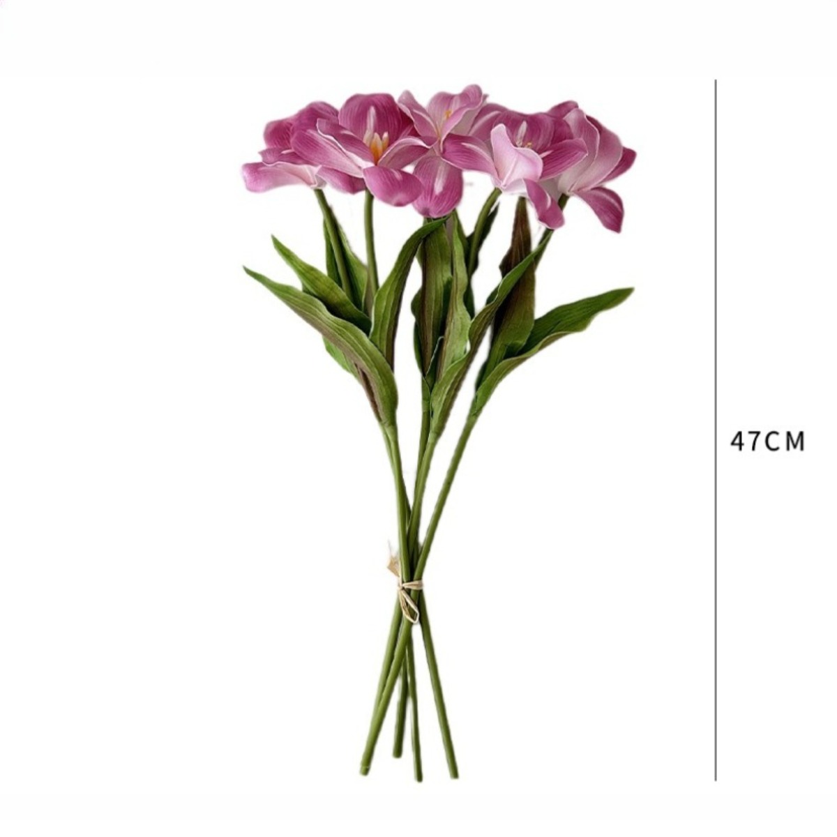 18.5 Inches Single Stem Open T - Photography Graduation 评论和价格