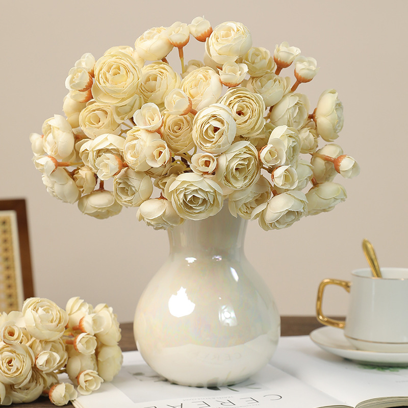 11INCH 6pcs-1set Small Camelli - Photography Graduation 评论和价格
