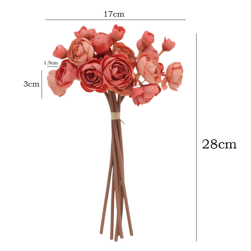 11INCH 6pcs-1set Small Camelli - Photography Graduation 评论和价格