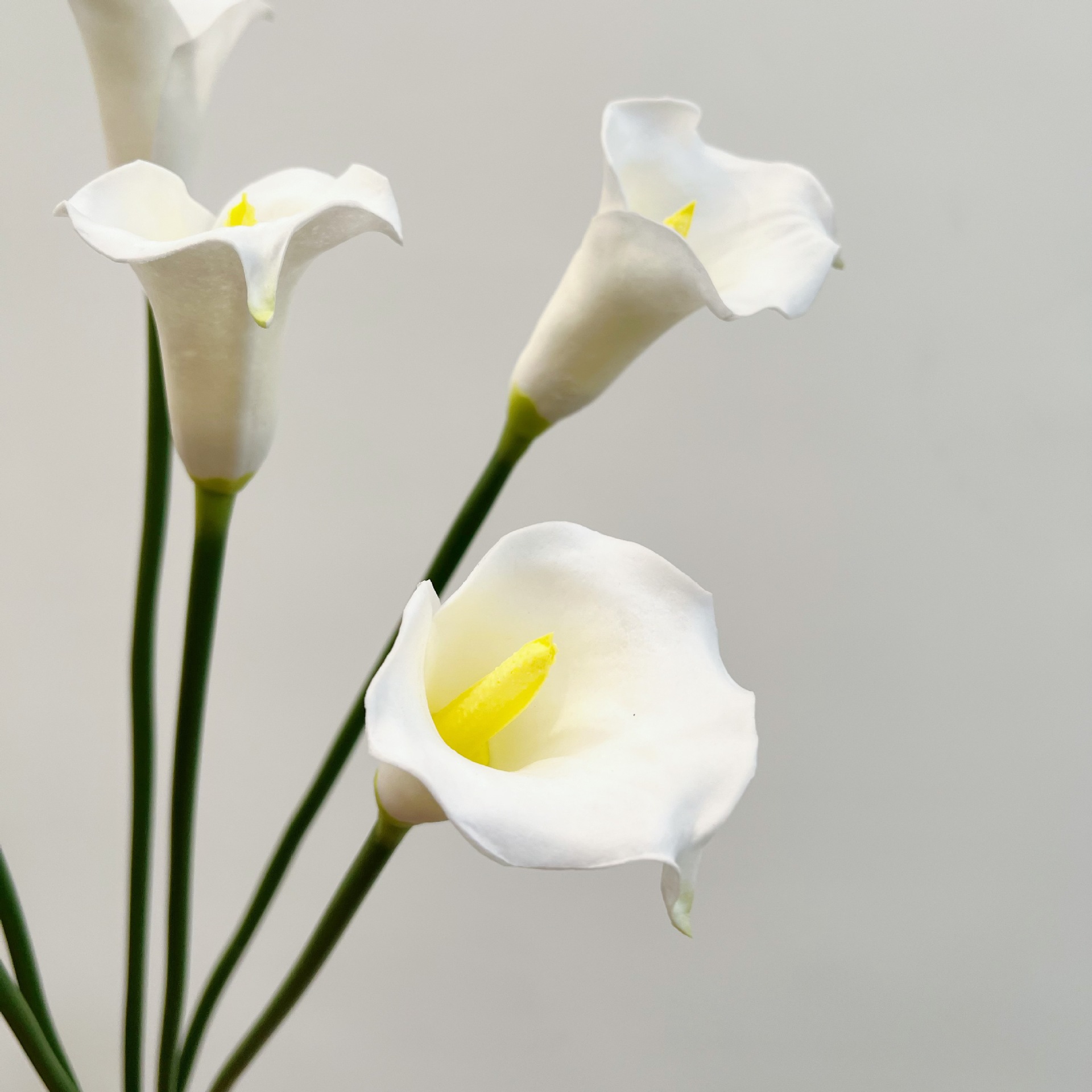 26 Inch Single Stem Crescent C - Photography Graduation 评论和价格