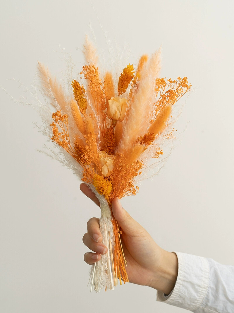 Preserved Rose Rabbit Tail Ree - Photography Graduation 评论和价格