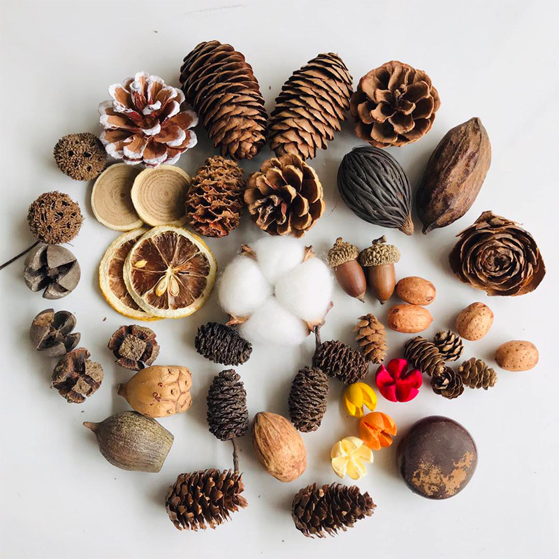 Natural Dried Pinecones Leaves - Photography Graduation 评论和价格