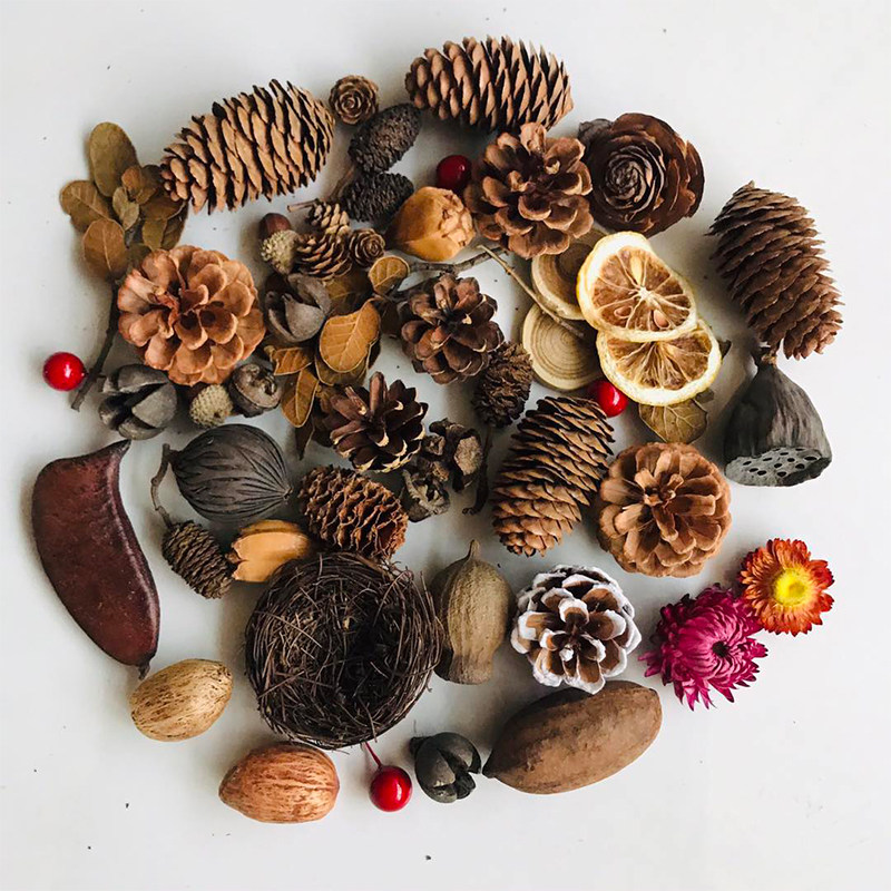 Natural Dried Pinecones Leaves - Photography Graduation 评论和价格