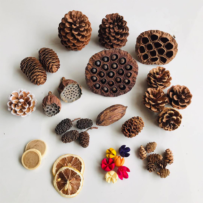 Natural Dried Pinecones Leaves - Photography Graduation 评论和价格