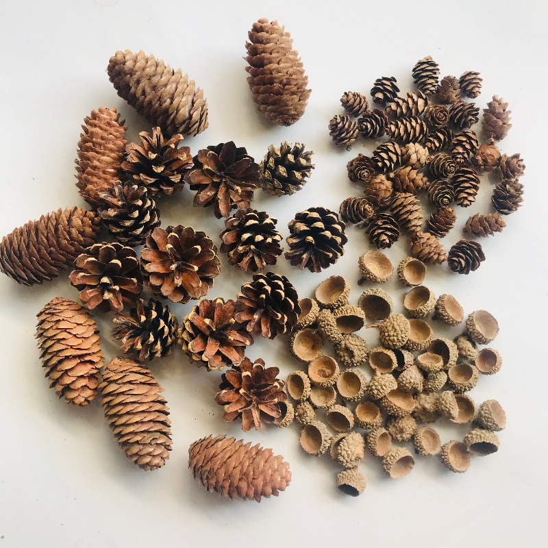 Natural Dried Pinecones Leaves - Photography Graduation 评论和价格