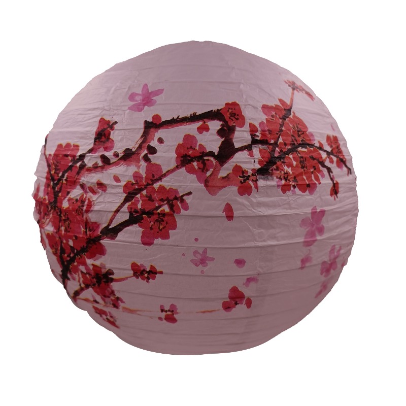 30cm Printed Paper Chinese Sty - Photography Day 评论和价格
