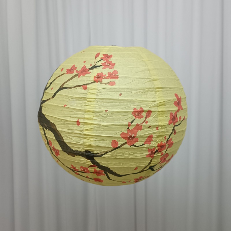 30cm Printed Paper Chinese Sty - Photography Day 评论和价格