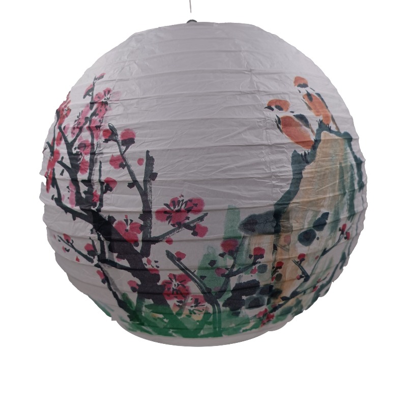 30cm Printed Paper Chinese Sty - Photography Day 评论和价格