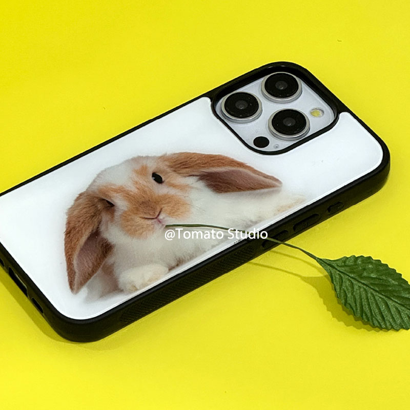 Niche Animal Photography Y2K P - Photography With Iphone 15 评论和价格