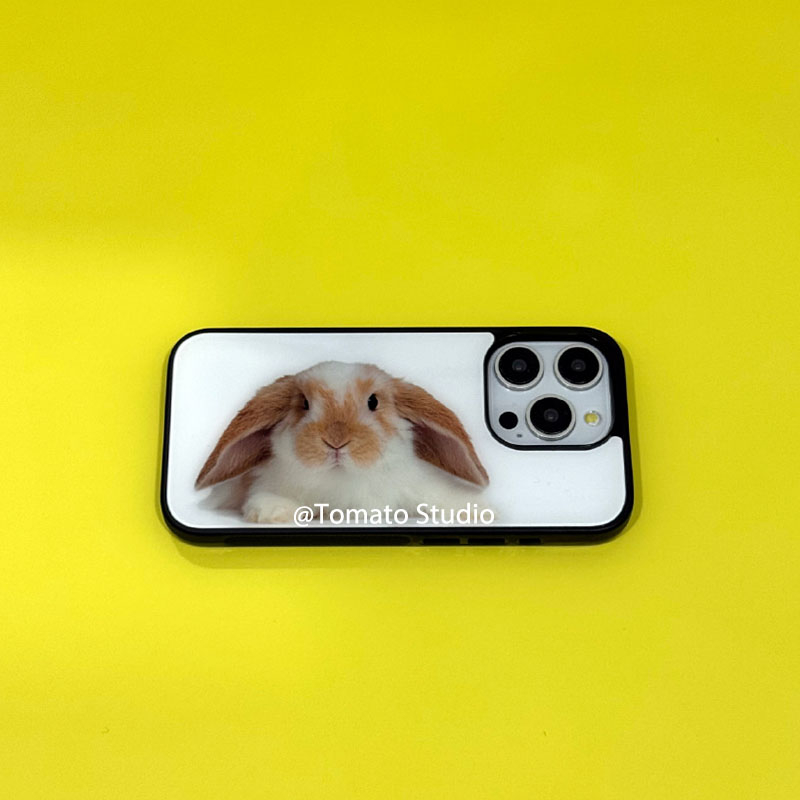 Niche Animal Photography Y2K P - Photography With Iphone 15 评论和价格
