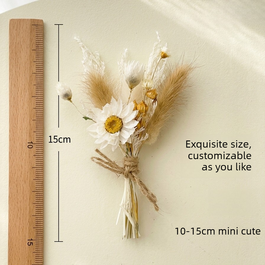Mini Dried Flower Bouquet Natu - Photography Graduation 评论和价格