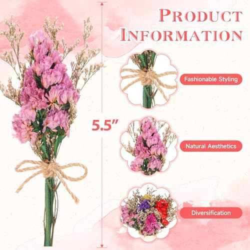 Mini Dried Flower Bouquet Natu - Photography Graduation 评论和价格